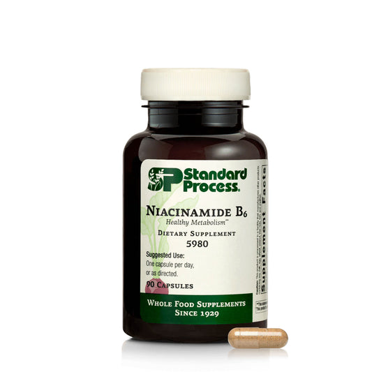 Niacinamide B6 90 Capsules