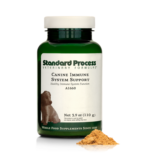 Canine Immune System Support