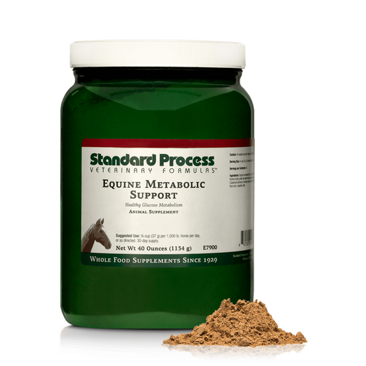 Equine Metabolic Support