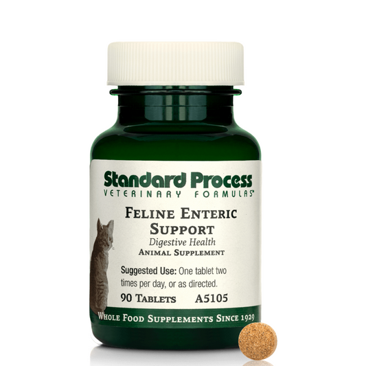 Feline Enteric Support